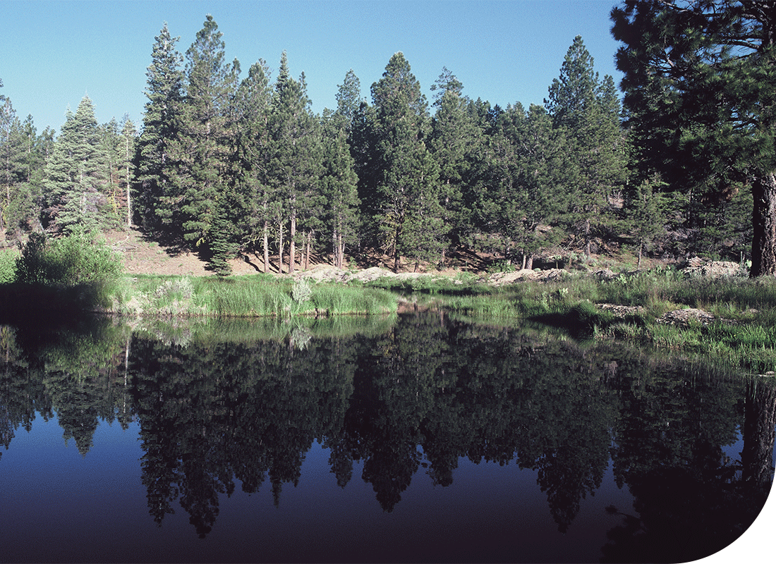 Collins history timeline, first FSC certified forest, Collins Almanor Forest